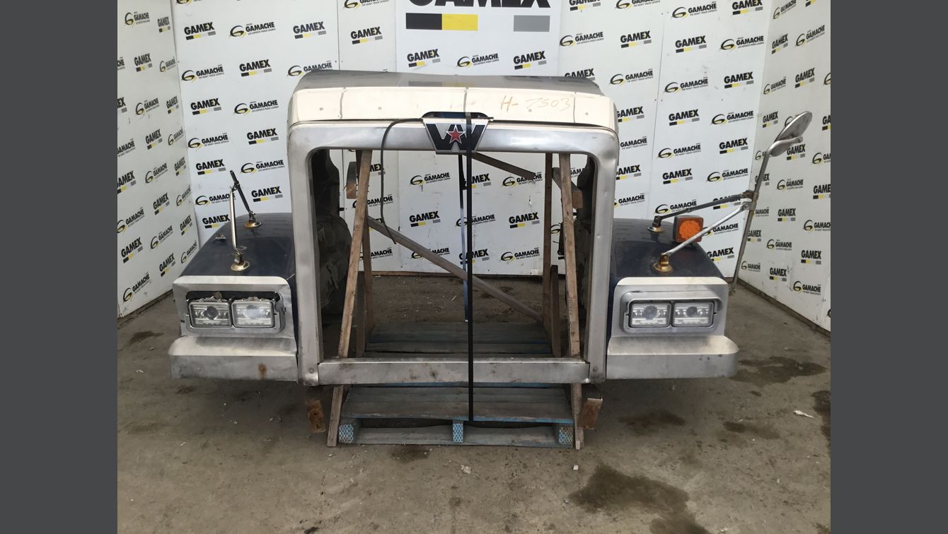 2019 WESTERN STAR 4900FA