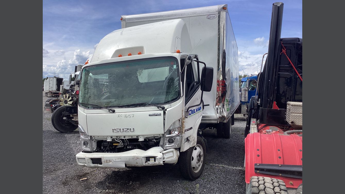 ISUZU NPR-HD 2024